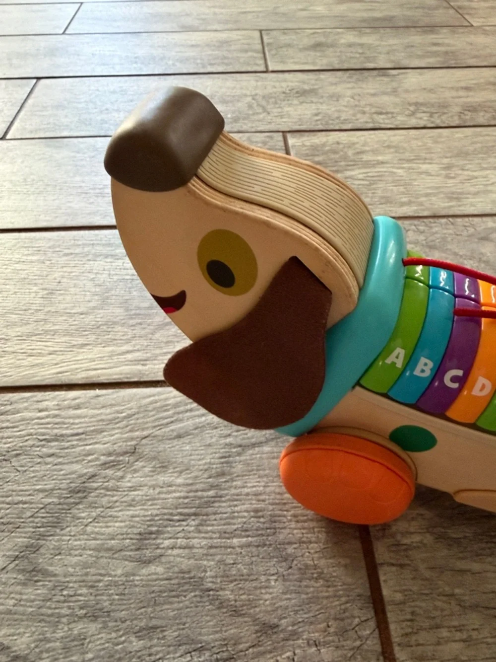 Wooden Alphabet Xylophone Pull-Along Dachshund Toy - Multicolor